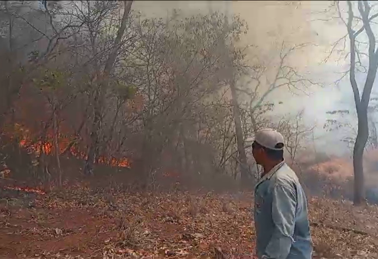 Incendios forestales en San Ramón