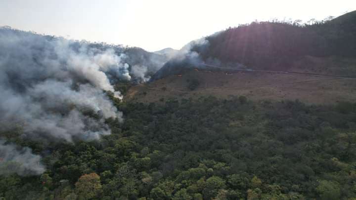 Incendios forestales en Santa Cruz