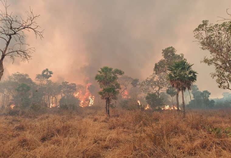 31 incendios forestales activos devoran miles de hectáreas de bosque cruceño