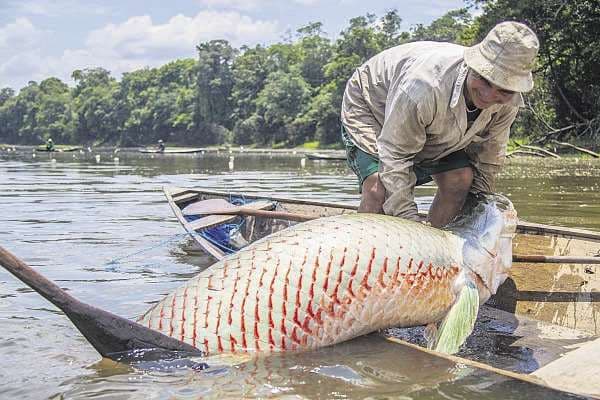 La pesca es una de las actividades principales en la Amazonía