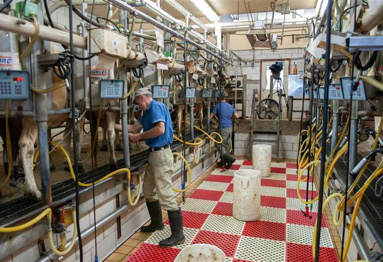 Gobierno suspende reunión con la CAO y lecheros dan plazo hasta el miércoles para acordar nuevo precio de la leche