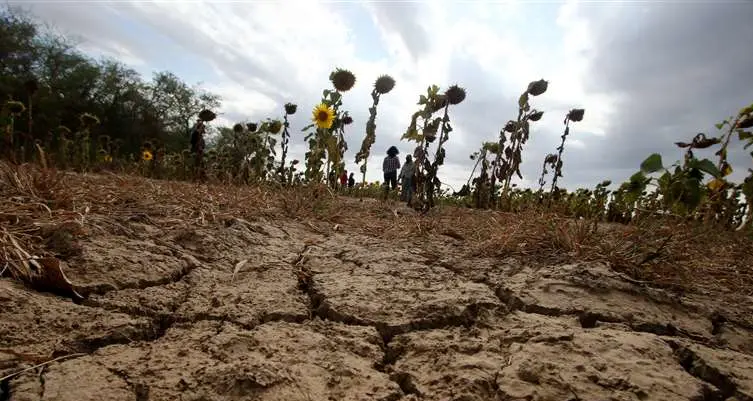 Sequía en el agro causa pérdidas por $us 300 millones.