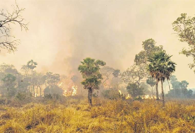 El fuego en San Matías está activo desde hace 30 días /Foto: Sernap