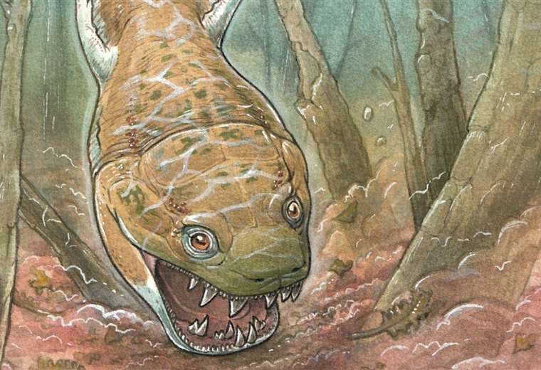 “Una salamandra infernal”: el descubrimiento del animal gigante que dominó el planeta antes que los dinosaurios