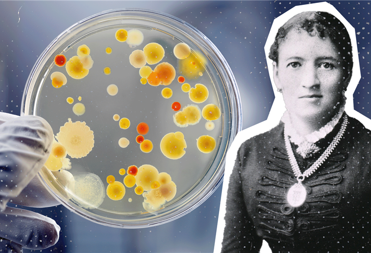 Fanny Angelina Hesse, la mujer que revolucionó el mundo de la microbiología con un ingrediente de cocina 