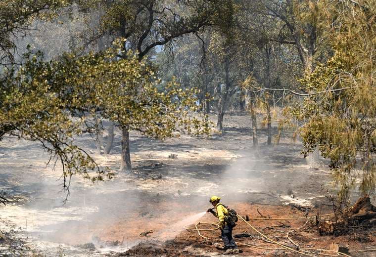 Bomberos batallan contra las llamas en California bajo intensa ola de calor