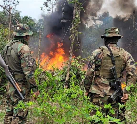 Fábricas de cocaína destruidas por la Felcn