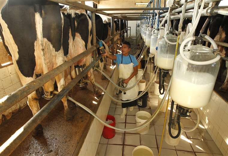 Gobierno y productores cochabambinos acuerdan congelar el precio de la leche