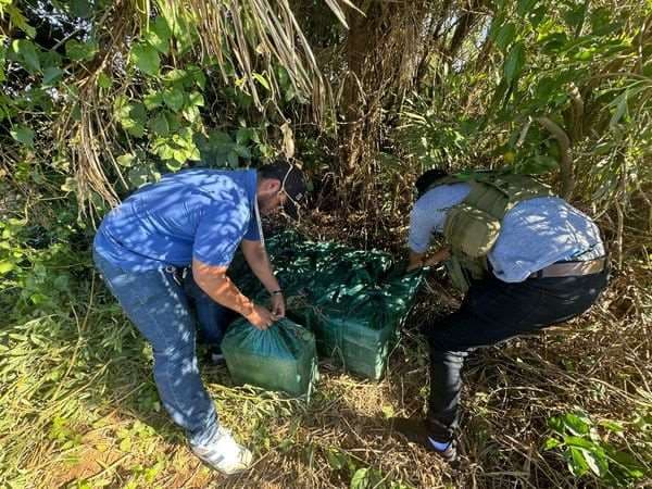 Operativo antinarcóticos en Santa Rosa. Foto: Ministerio de Gobierno