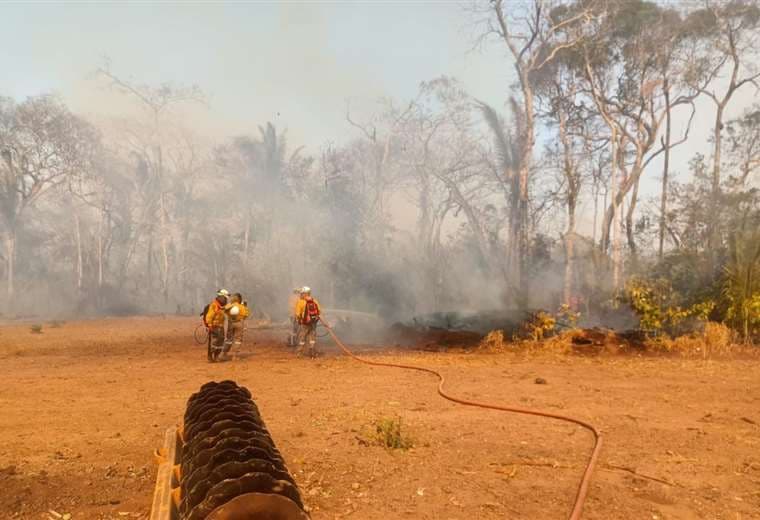 Reducen de 31 a 20 los incendios forestales en Santa Cruz