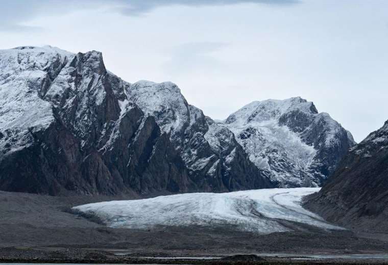 Desde microbios a mamíferos: cómo resurge la vida en los sitios de la Tierra donde se derriten los glaciares 