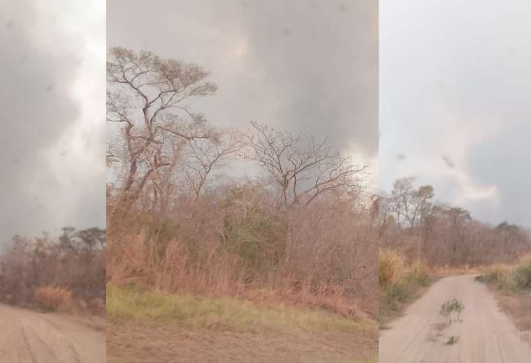 Incendios forestales siguen causando estragos en la comunidad pantanera de Candelaria