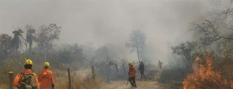 Incendios forestales afectan a 10 municipios cruceños / Gobernación de Santa Cruz