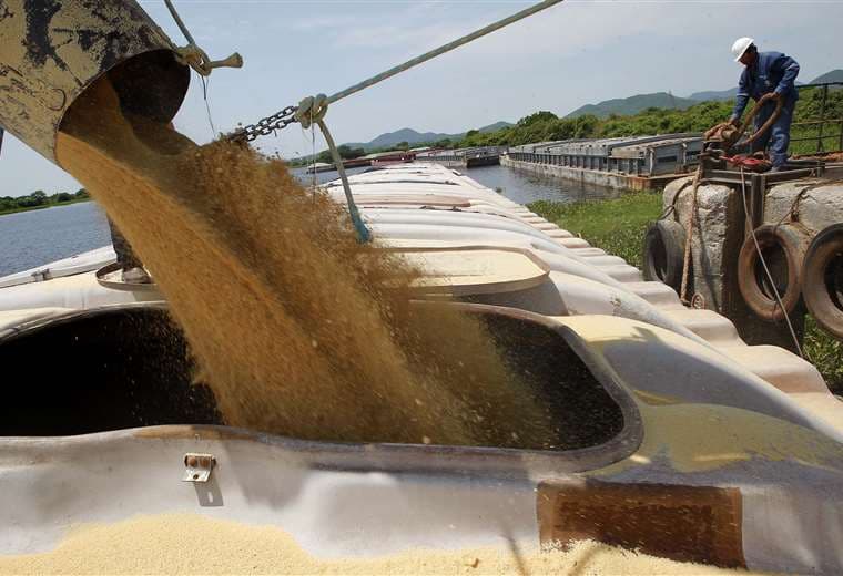 La medida favorecerá a los exportadores de oleaginosas /Foto: EL DEBER