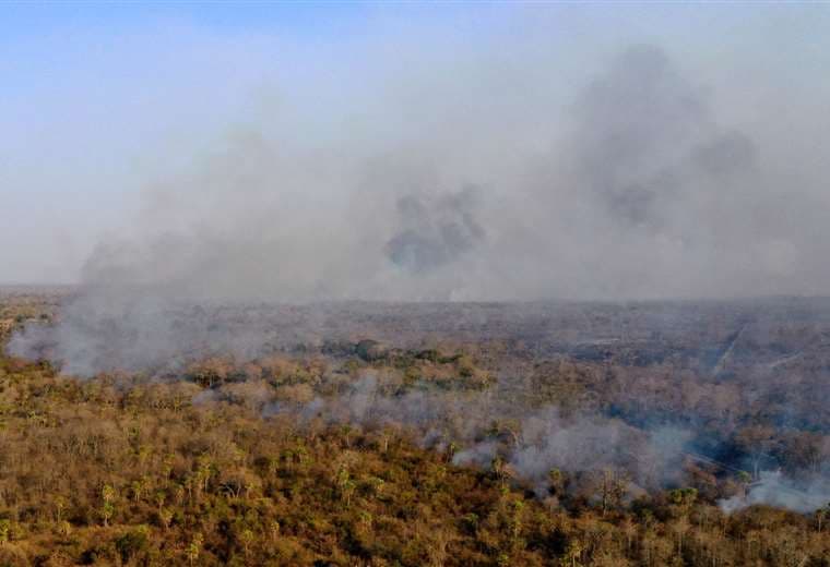 Santa Cruz: lluvias caen a la mitad en diez años, agravando los incendios forestales