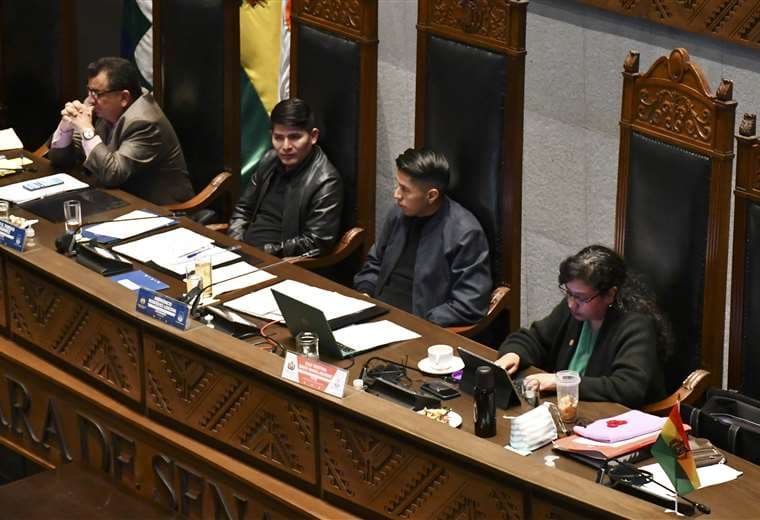 La oposición gana espacio en el Senado | APG