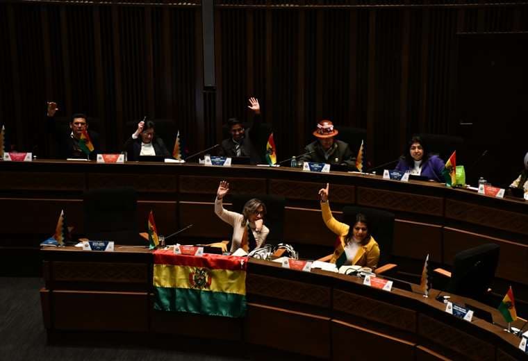 Votación en el Senado expresa su repudio al referéndum| APG