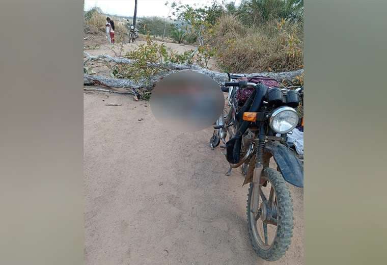 Cae un árbol encima de una persona y esta pierde la vida 