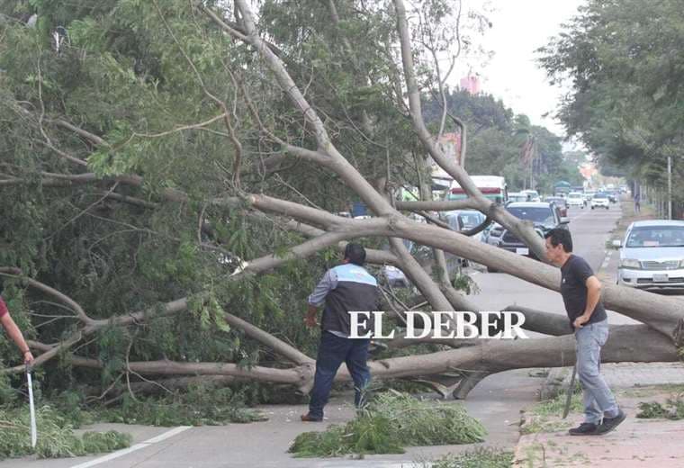 Vientos derriban árboles y causan estragos en la capital cruceña