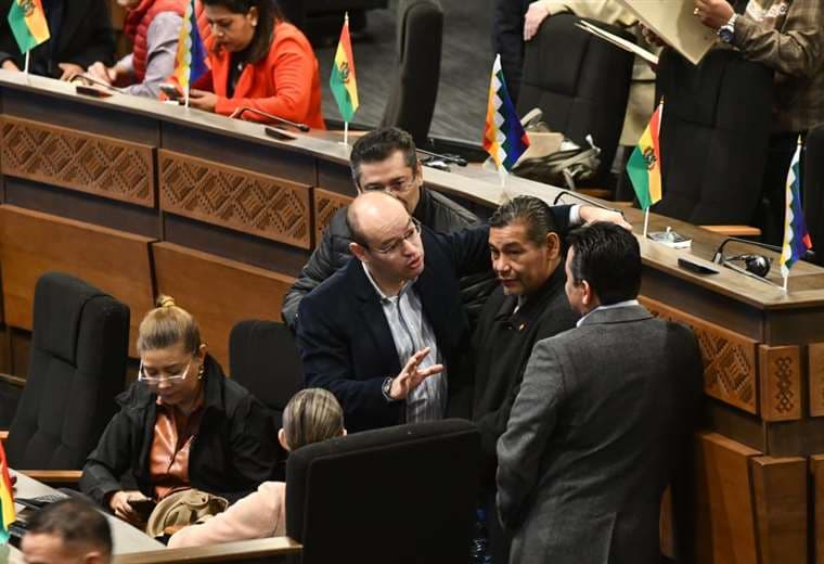 Sesión de la Asamblea Legislativa Plurinacional /Foto: APG Noticias