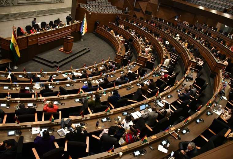 Sesión de la Asamblea Legislativa Plurinacional /Foto: APG Noticias