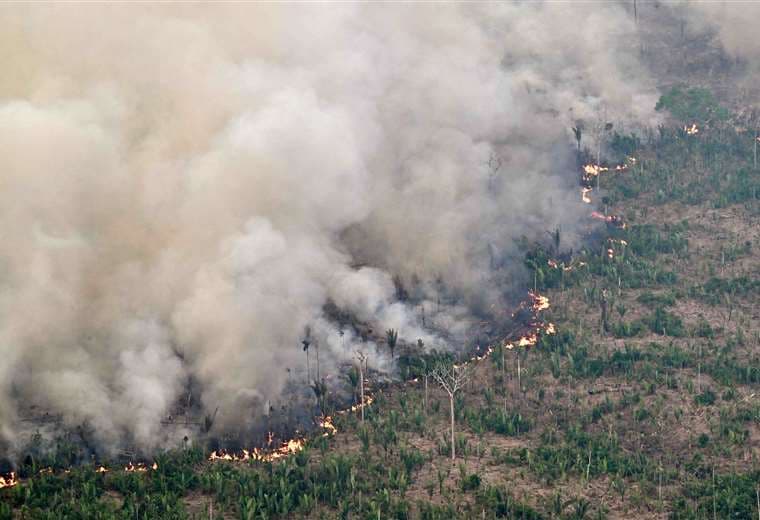 Incendio en la Amazonía brasileña /Foto: AFP