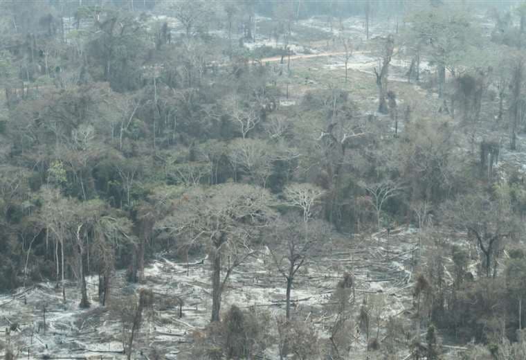 Incendio forestal, deforestación y avasallamiento en Urubichá (Guarayos)/Ricardo Montero