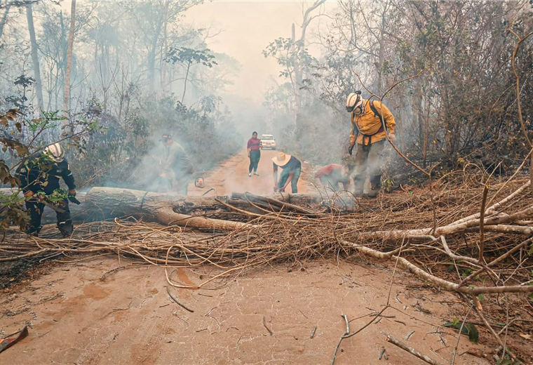 Santa Cruz registra el 79% de la pérdida de bosque nacional y el 90% de los incendios