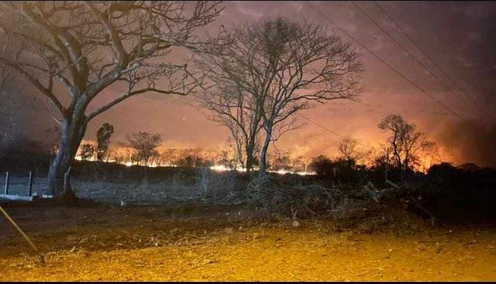 Foto: Incendio forestal en San Ramón (Chiquitania) /Foto: Arlex Rodríguez