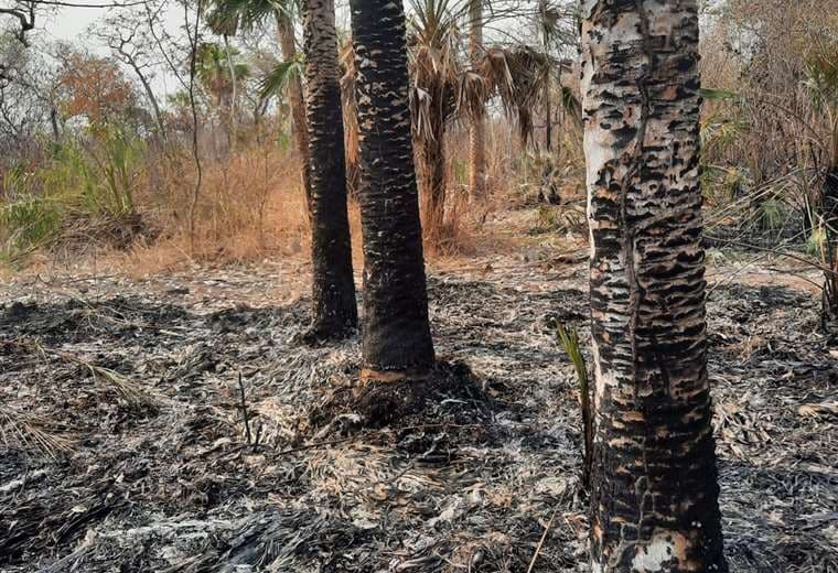 Las tareas de mitigación del fuego no cesan en San Matías. 