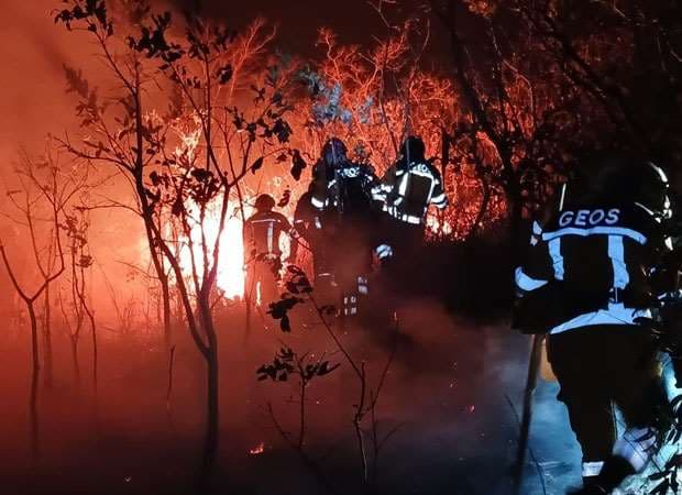 Incendio en San Javier. Foto: Alcaldía