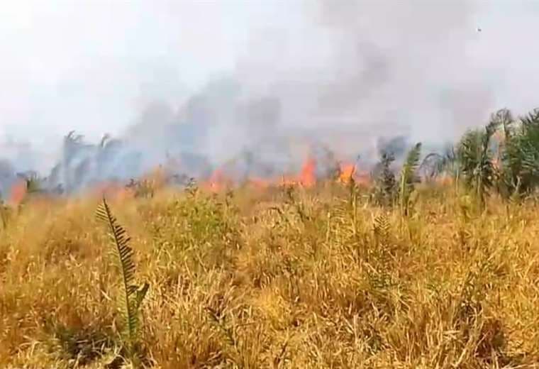 Incendios forestales: Concepción se declara en desastre 