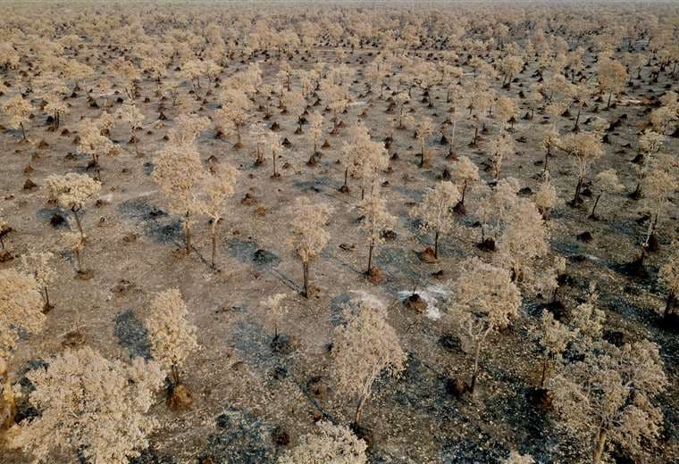  Vista aérea de una zona afectada por un incendio en Corumbá / AFP - Archivo