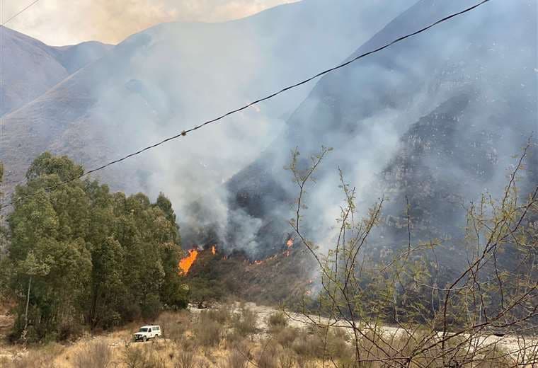 Confirman deceso de un joven en incendio forestal en Tarija