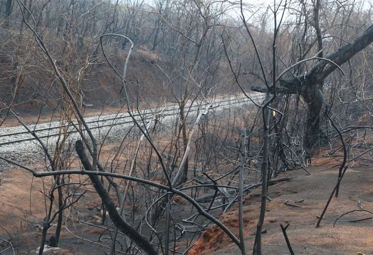 La lluvia trae alivio, pero queda el drama de los que sufrieron los incendios