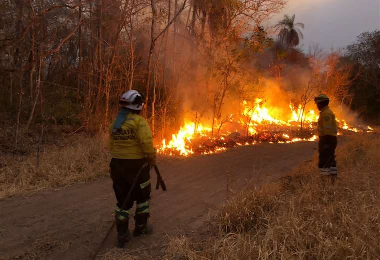 Reporte diario  de los incendios forestales