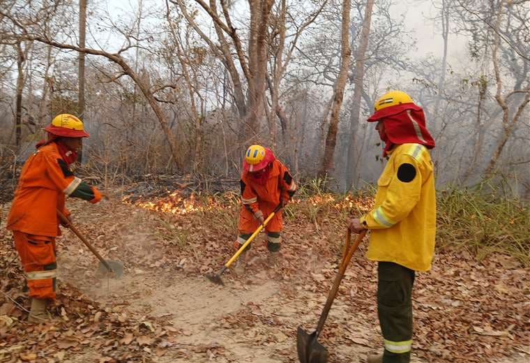 Los bomberos continúan combatiendo los incendios forestales en Santa Cruz