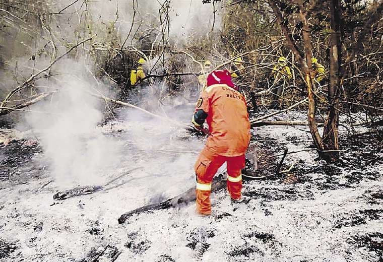 Incendios forestales