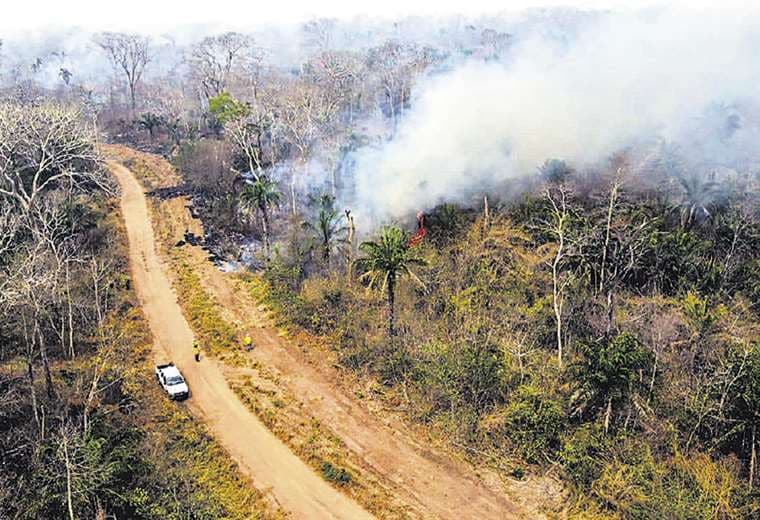 El fuego es más grave que en 2019 y los bomberos enfrentan burocracia y abandono 