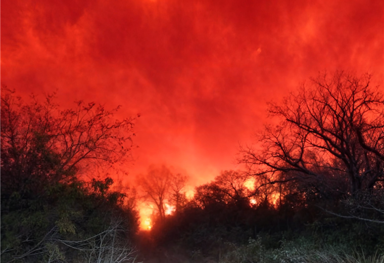 Incendios afectan más de 84.000 hectáreas en Chaco paraguayo y dicen que el humo llega de Bolivia