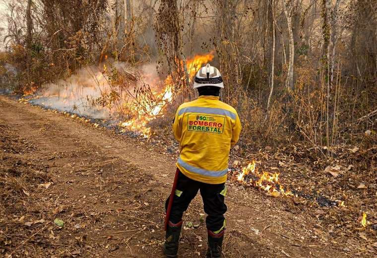 Bomberos forestales | Foto: Gobernación de Santa Cruz