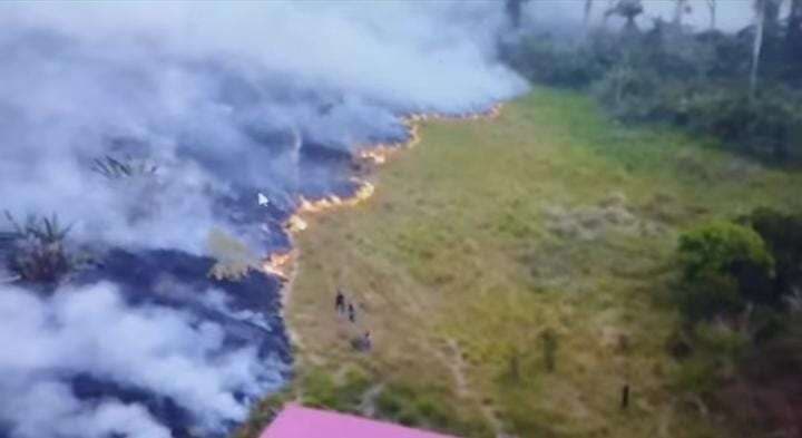 El panorama que se observa en la Amazonia boliviana, en Pando