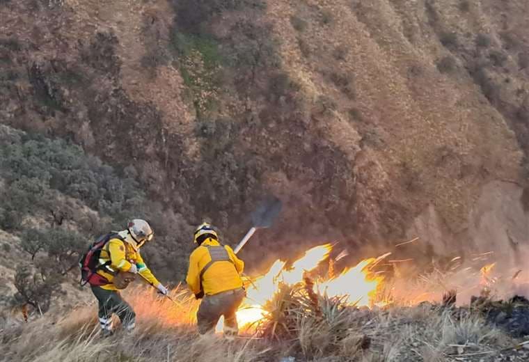 In cendios forestales en Cochabamba. Foto: GADC