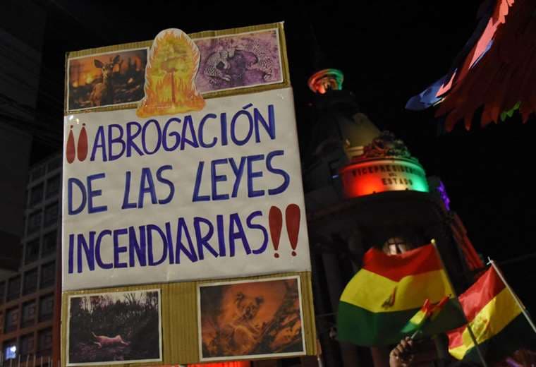 Condenan la gasificación a los ambientalistas que exigen abrogación de “leyes incendiarias”