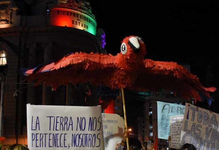 La marcha medioambientalista pasó por la Vicepresidencia (Foto:APG Noticias) 