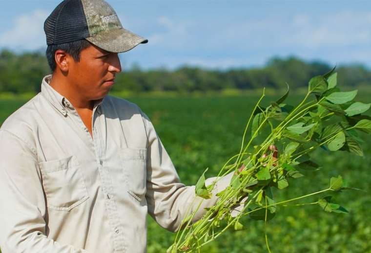 Proyecto de ley busca que pequeños productores pasen a medianos o grandes, para obtener créditos 