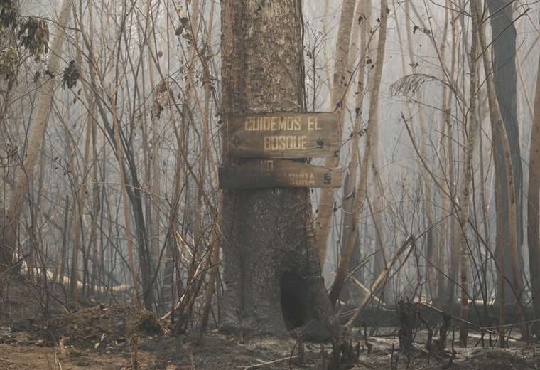 Las 'quemas controladas' son un factor de propagación de incendios| Foto: JC Torrejón