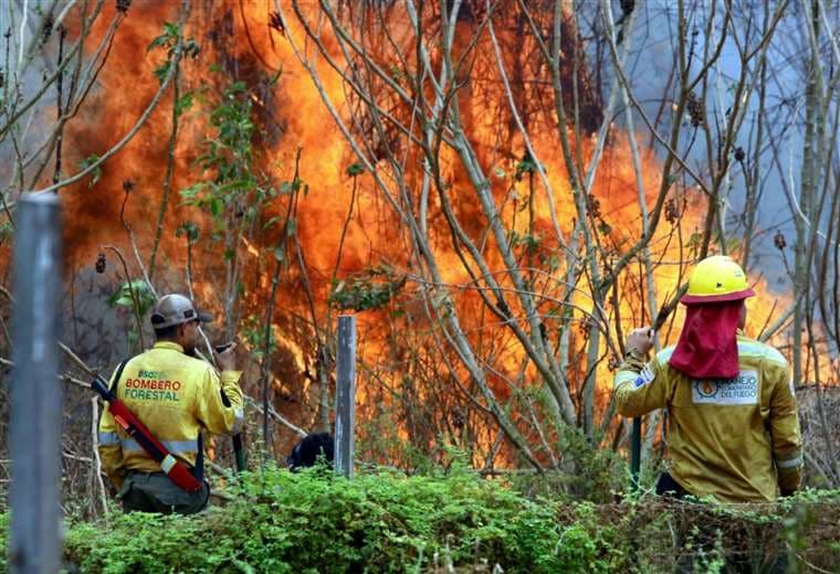 El fuego se extiende y se forman 11 complejos de incendios en Santa Cruz