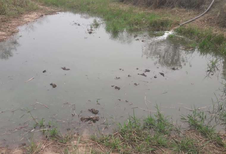 Distribuyen agua en cisternas 