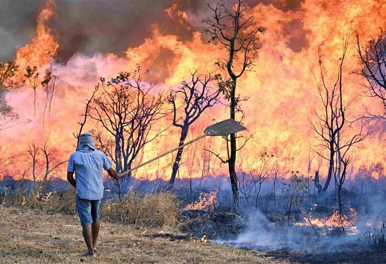 Incendios en Brasil /Foto: AFP